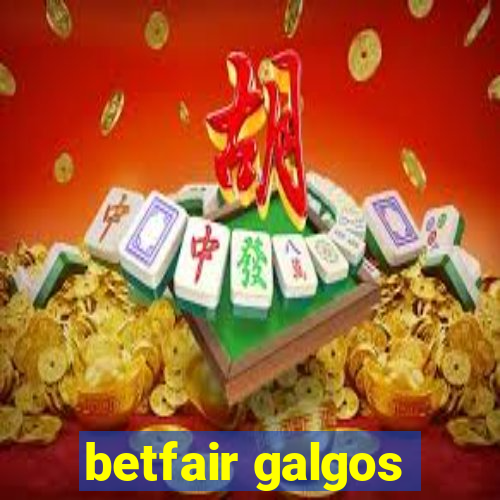 betfair galgos